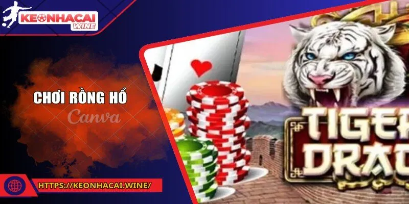 Giải Mã Tỷ Lệ Kèo Nhà Cái - Bí Quyết Soi Kèo và Cược Thắng
