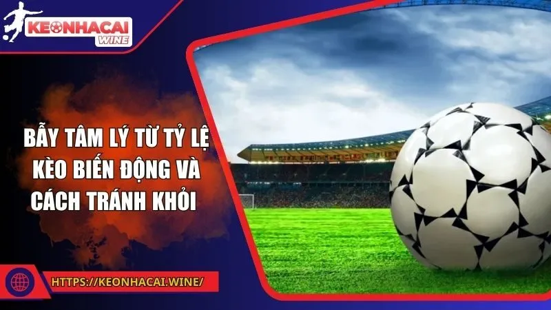 Tỷ lệ bóng đá - Những yếu tố quyết định sự thành công trong cá cược thể thao